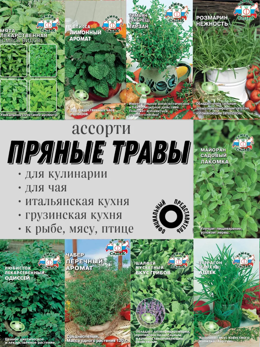 Пряные травы семена СеДек купить по цене 0 сум в интернет-магазине  Wildberries в Узбекистане | 183157941