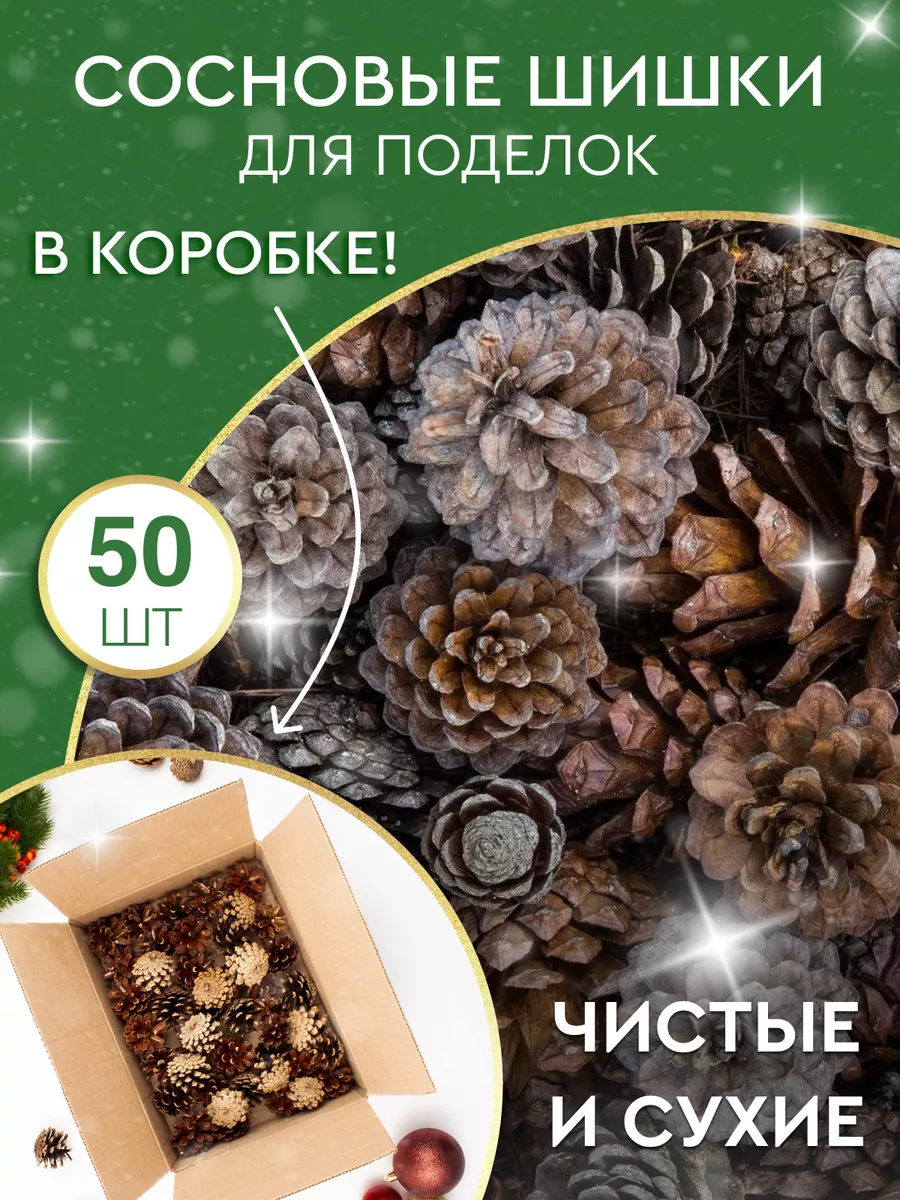 Sinitsa_ecoshop Сосновые шишки для поделок 50шт