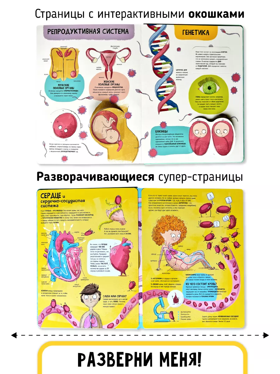 Наступление беременности от предсеменной жидкости