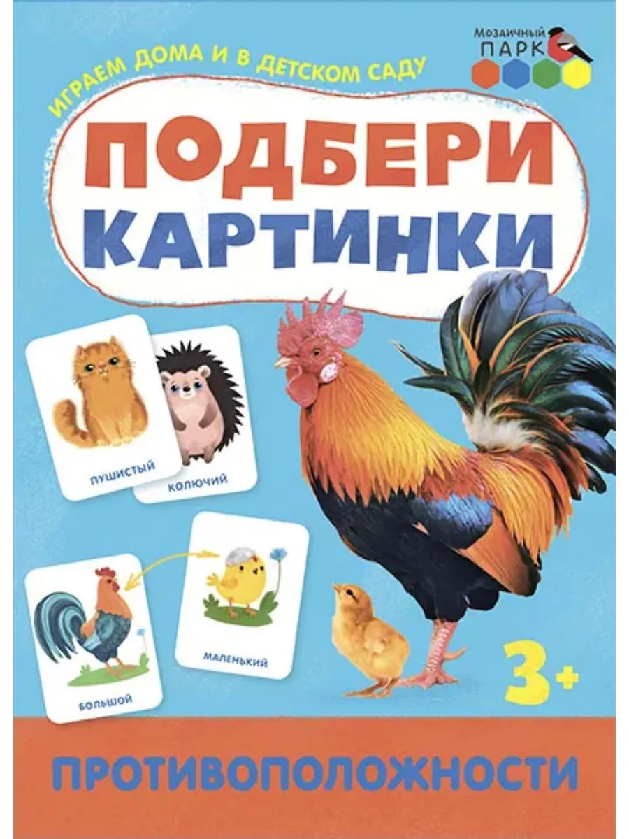 Сколько стоит купить сфинкса: цены на котят, чем кормить и как ухаживать за питомцами — Ozon Клуб