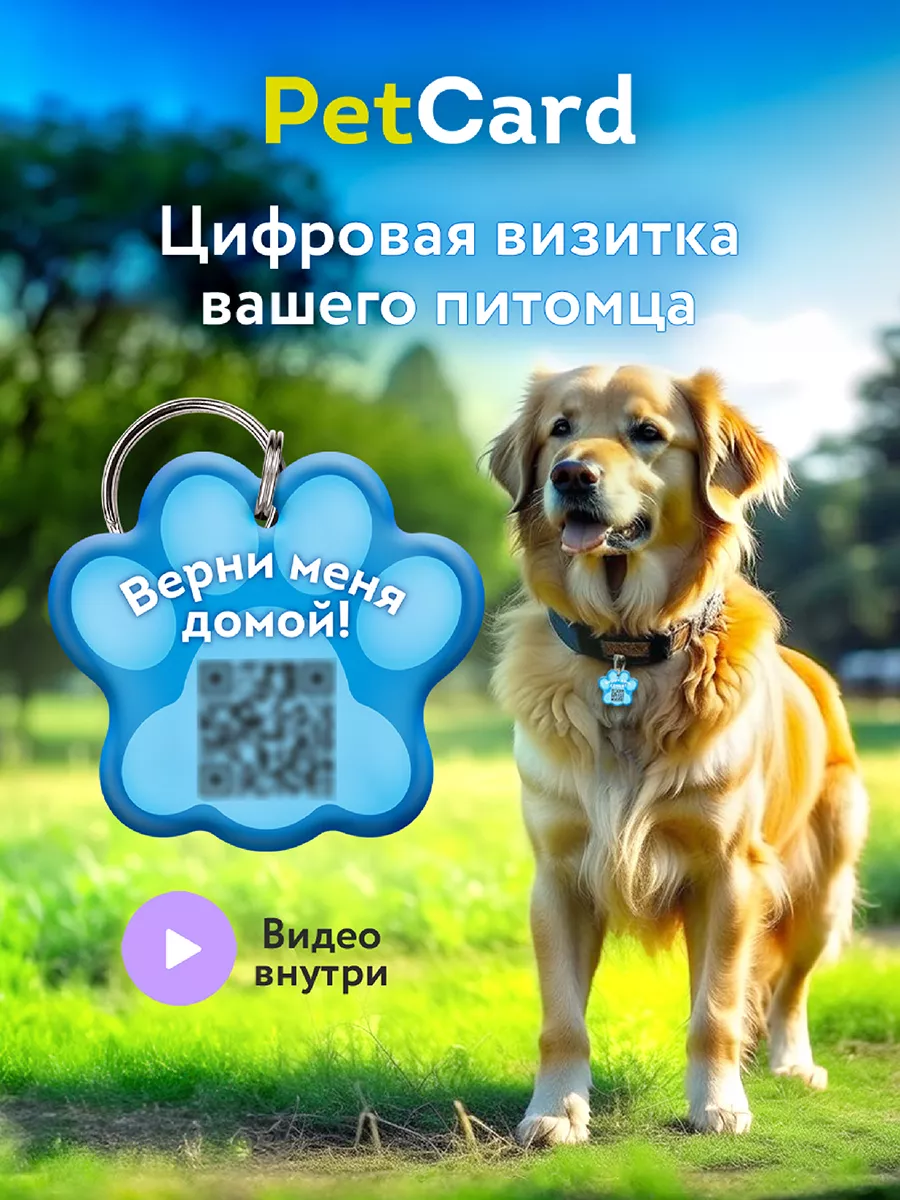 Адресник для собаки и для кошек с QR кодом и NFC PetCard купить по цене 390  ₽ в интернет-магазине Wildberries | 186173922