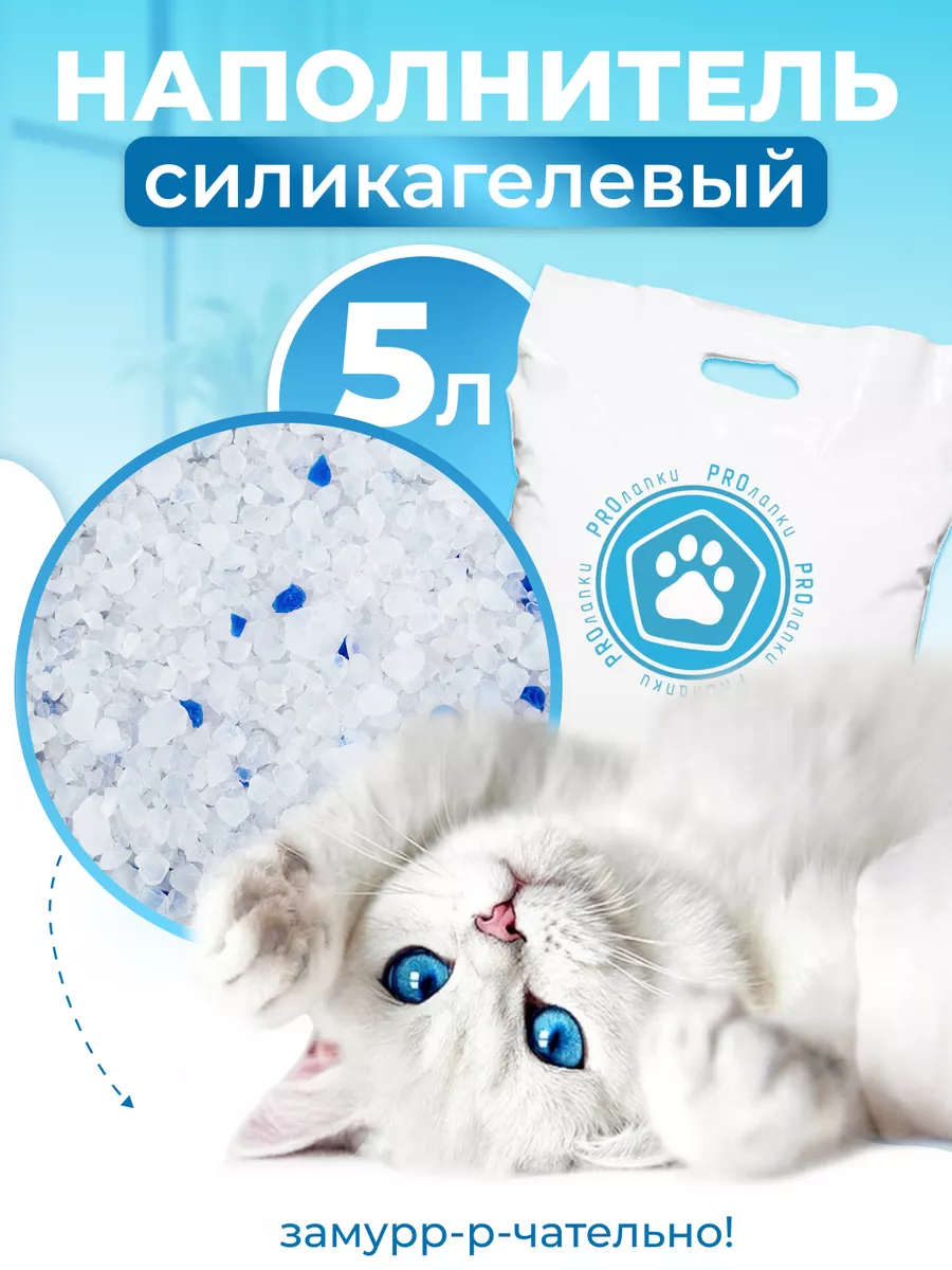 Силикагелевые наполнители для кошачьего туалета: плюсы, минусы и рекомендации по выбору