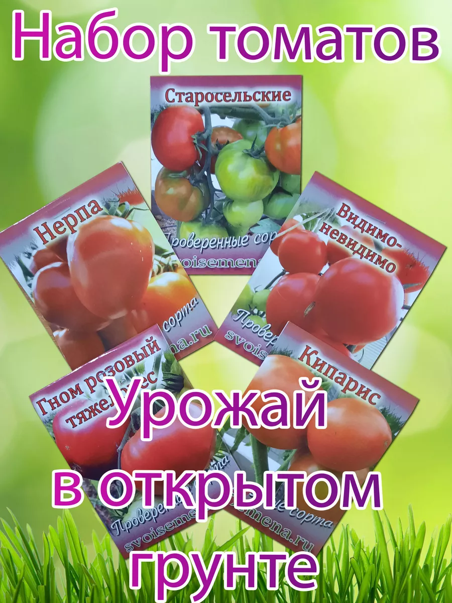 Проверенные семена от Медведевых Урожай томатов в открытом грунте
