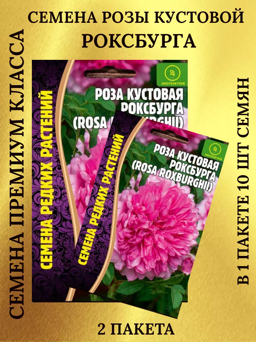 Семена розы кустовой РОКСБУРГА - 2 пакета Редкие купить по цене 198 ₽ в  интернет-магазине Wildberries | 189642754