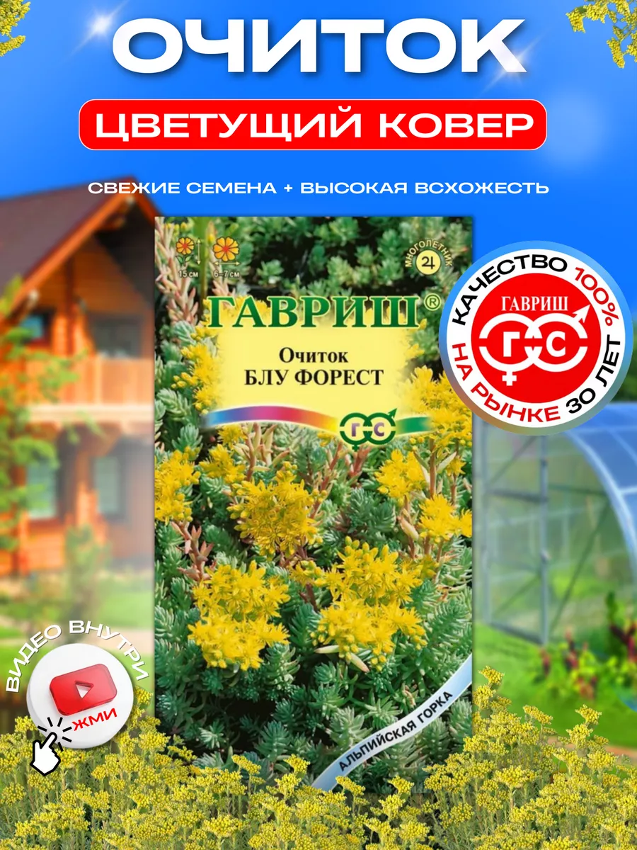 Семена Седум (Очиток) «Желтые Огоньки» 1 Гавриш купить по цене 86 ₽ в  интернет-магазине Wildberries | 189735673