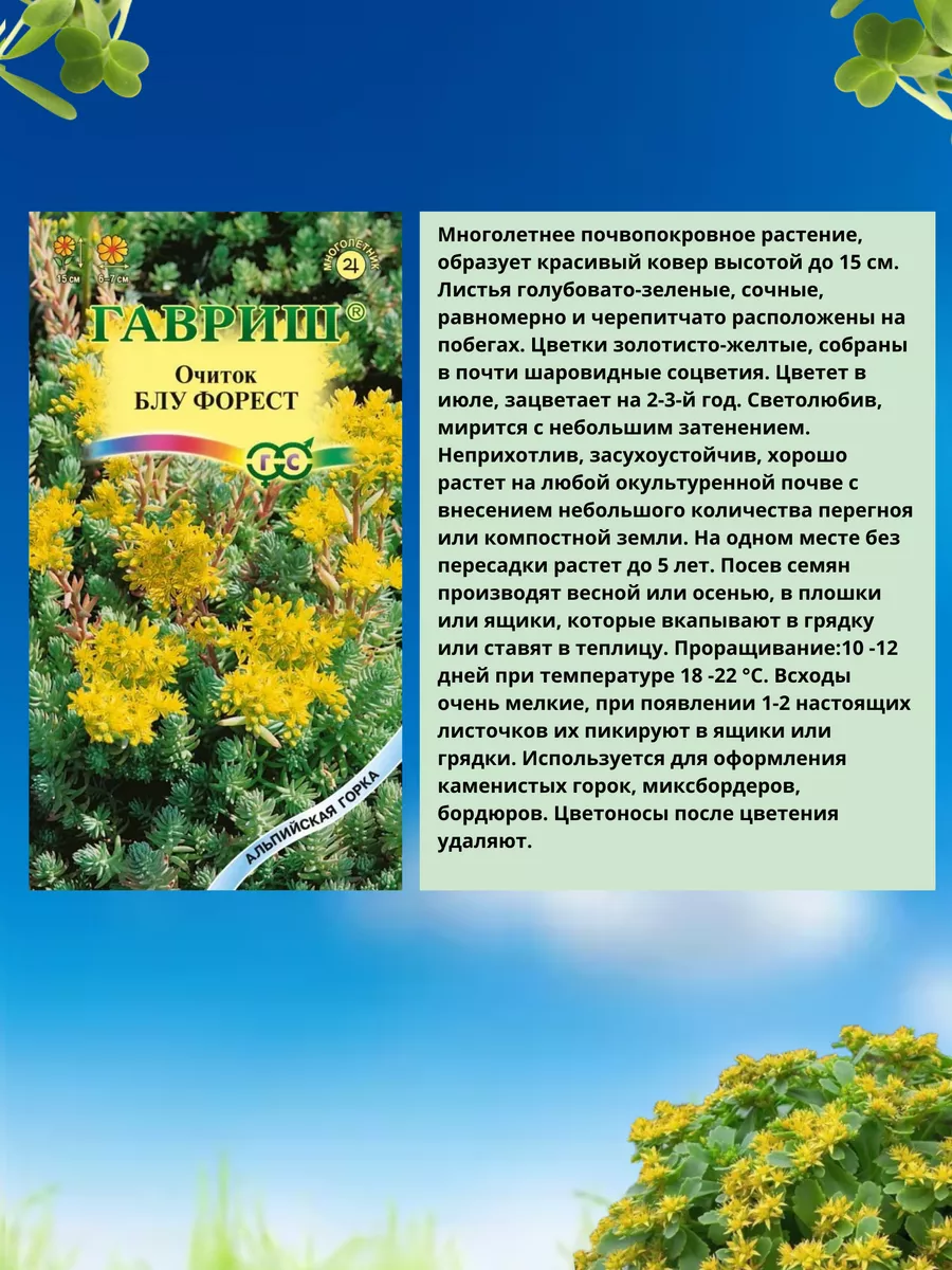 Семена Седум (Очиток) «Желтые Огоньки» 1 Гавриш купить по цене 86 ₽ в  интернет-магазине Wildberries | 189735673