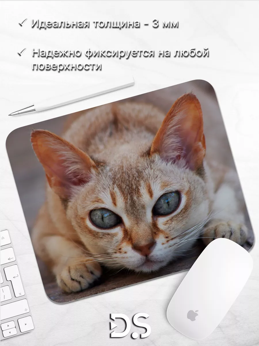 DiamondMousePad Коврик для мыши сингапурские кошки породы кошек фото