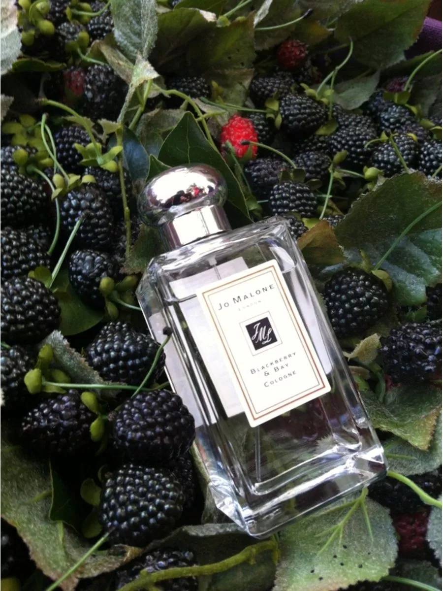 Джо малон ежевика. Джо малон ежевика. Духи джо малон ежевика. Аромат blackberry. Аромат blackberry.