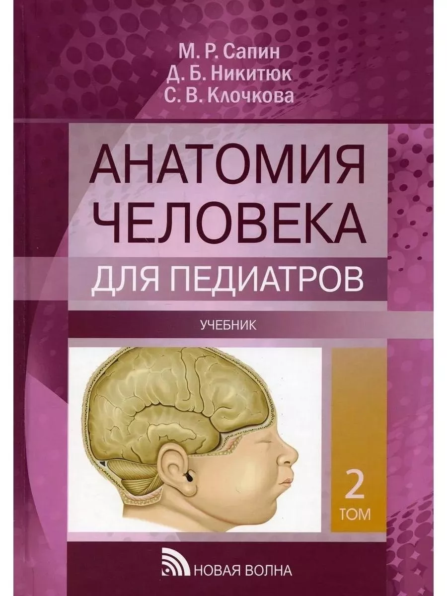 Сапин никитюк анатомия человека. Сапин брыксина анатомия человека. Клочкова анатомия. Клочкова анатомия. Анатомия человека сапин 3 том нервная системы.