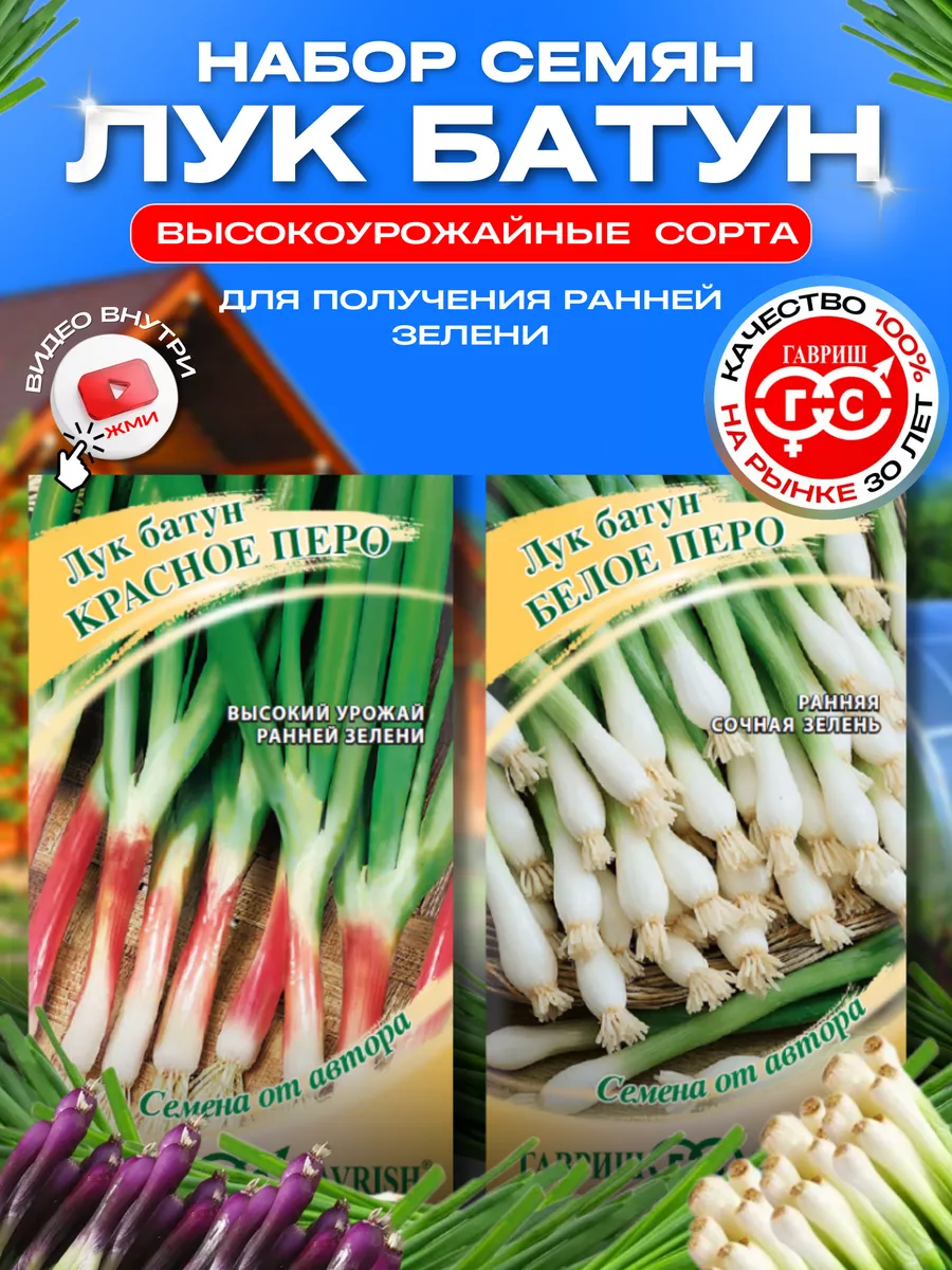 Лук Батун красное белое перо 2 Гавриш купить по цене 115 ₽ в  интернет-магазине Wildberries | 191193125