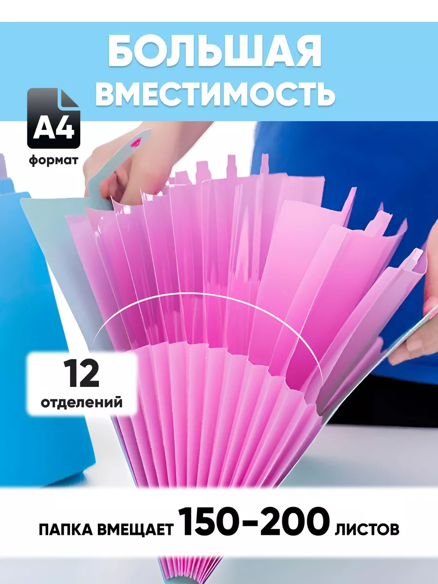 Папка для документов канцелярская А4 Biano дом купить по цене 324 ₽ в  интернет-магазине Wildberries | 191515529